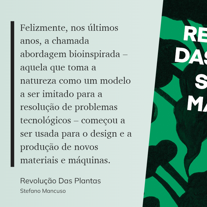 CerradoExtincao's tweet photo. #sustentabilidade https://t.co/9PwXJkTTIl