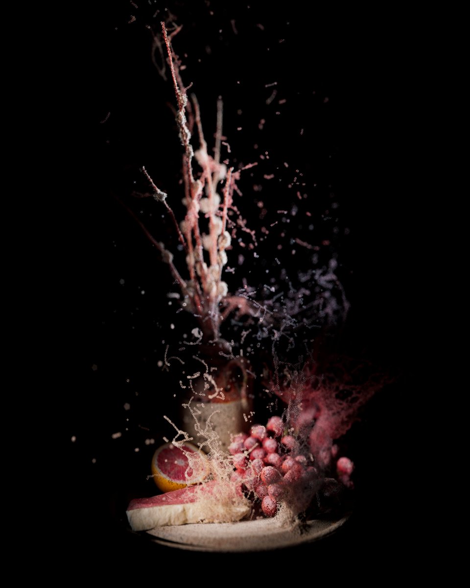 David Lisser tweet media