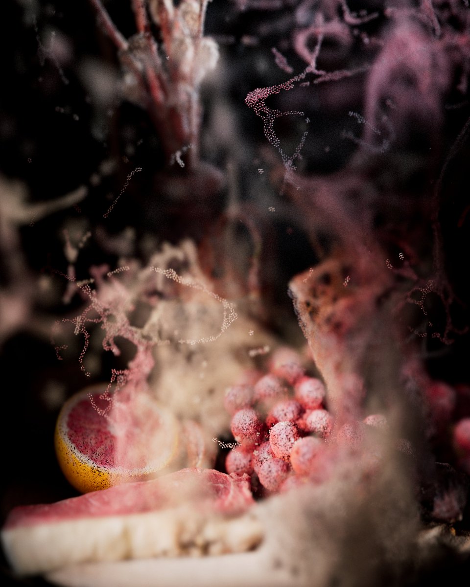 David Lisser tweet media