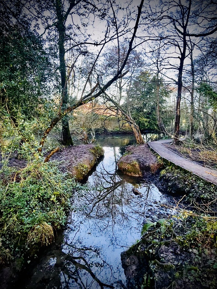 FossardMr's tweet photo. Wednesday walk and wonder in the sunshine ☀️ 🥾 🌳 https://t.co/prbC3eNocg