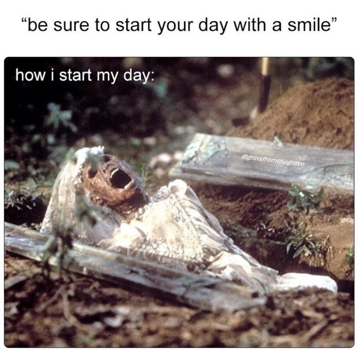 BlogOfBlood's tweet image. Good Morning