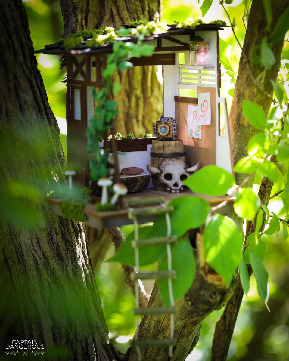 CaptDangerous64's tweet image. Link’s treehouse ☺️🌱 #zelda #ocarinaoftime @ZeldaInformer @ZeldaUniverse @ZeldaDungeon 

instagram.com/captaindangero…