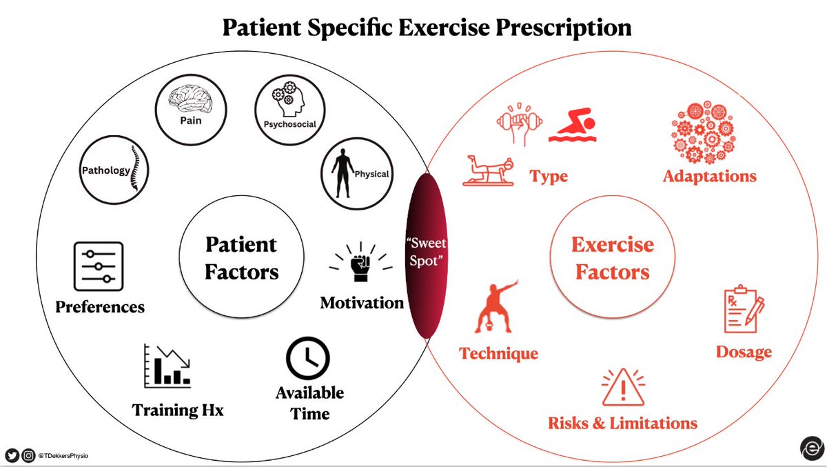 Thomas Dekkers | Spinal Specialist Physiotherapist tweet media