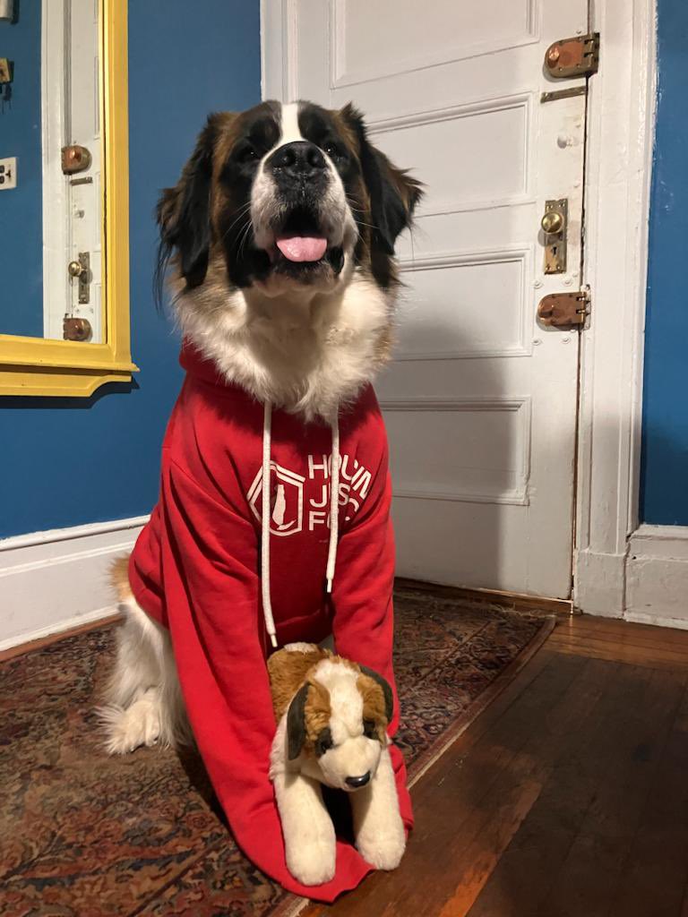 TenantBloc's tweet photo. Dodger is a small landlord in Flatbush. She supports #GoodCause because all our fur friends need stable homes! #GoodPawsForGoodCause 

🐾🏘️🐶

https://t.co/3aoZ2CBdhs https://t.co/rh8l36vZuV