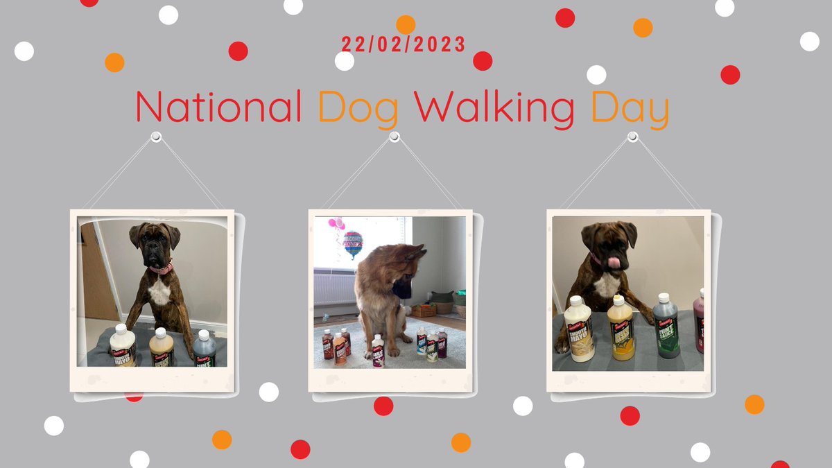 How could you dislike #nationalwalkyourdogday 

It combines two things that make us all happy: exercise and dogs and well of course our Sauces. 

No dogs were harmed during these piccies and none licked the Sauce 😋