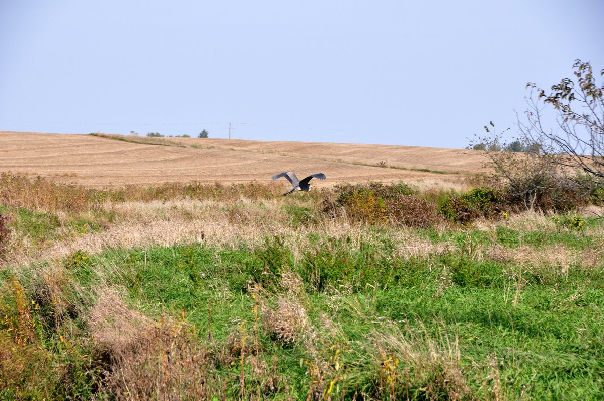 Sarah Ham tweet media