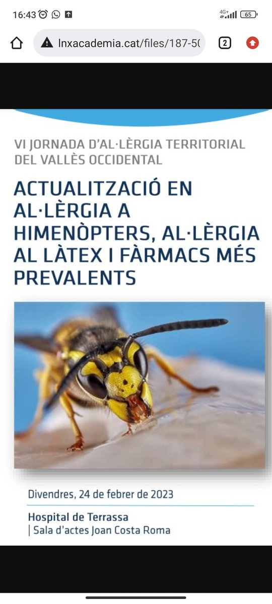 Aquest divendres 24 tindrà lloc la
VI JORNADA D'AL.LÈRGIA TERRITORIAL DEL VALLÈS OCCIDENTAL
Organitza <a href="/CSTerrassa/">Consorci Sanitari Terrassa - Hospital Universitari</a>

Hora: 8:45 h a 13:45h
Lloc: Sala d'actes Hospital de Terrassa
Inscripció gratuïta 💡
Més informació a scaic.cat/?p=page/html/d…