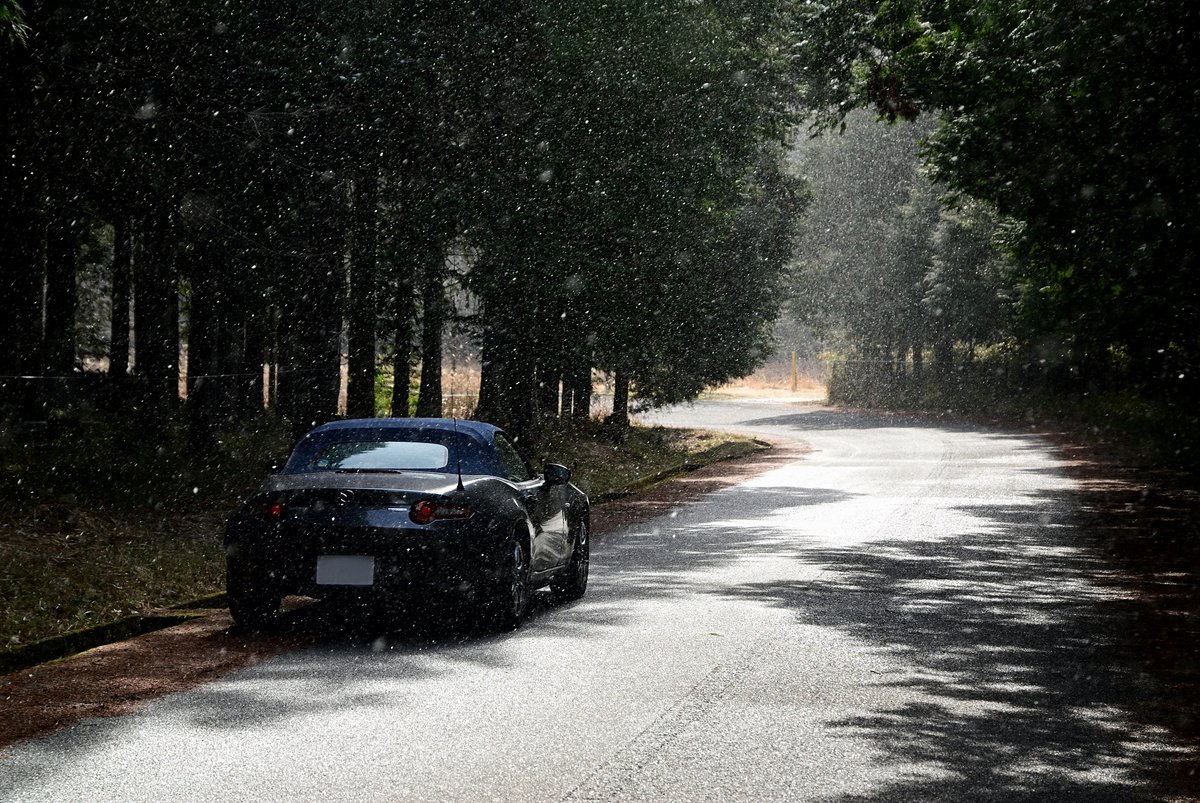 Oraora_r5k's tweet image. もう一枚
晴れと雪が数十分間隔で交互に入り乱れる天気
#kobemazdaphoto80
#km2023winter
#mazdagram
#kobemazdagram
#マツダグラム
#神戸マツダグラム
#マツダロードスター
#NDロードスター