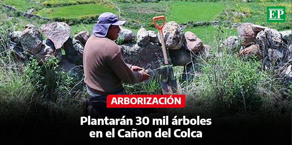 Diario_EP's tweet photo. #Arequipa | El Servicio Nacional Forestal y de Fauna Silvestre (#Serfor) Arequipa y la Autoridad Autónoma de Majes (#Autodema) iniciaron la plantación de 30 mil árboles a lo largo del #CañóndelColca, en la provincia de #Caylloma. (1/2) https://t.co/6f6b9zi2ff