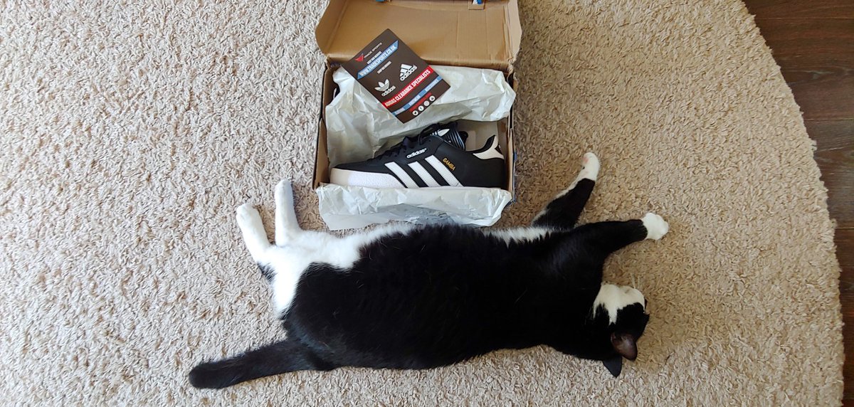 RLoevec's tweet image. Just the perfect color code.
Or a cat...