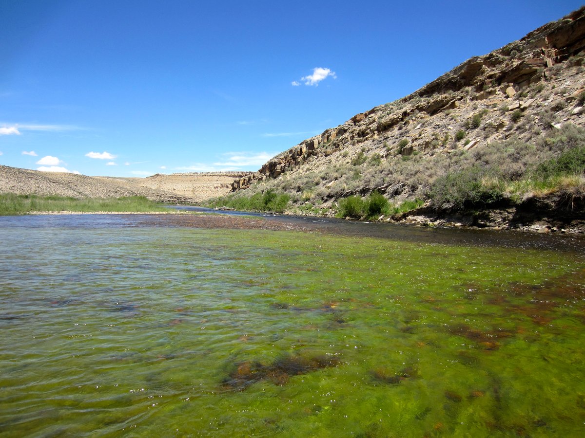 FluvialBenthos's tweet photo. Are you concerned about the future of #aquatic resources &amp; ecosystems? Please complete (&amp; share with others) this “Grand Challenges for Aquatic Environments Survey”: https://t.co/ooFquSqSVO (10 questions/15 minutes/anonymous/closes 5 March) @aslo_org @KathyCottingham @MJVanni 1/4 https://t.co/QMWdUSHofs