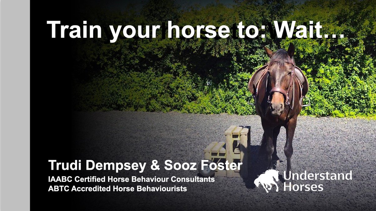 equine_courses's tweet photo. Equine behaviourists and trainers Trudi Dempsey and Sooz Foster will be hosting their friendly online 2 week workshop starting on 25th March 2023.

Learn more: https://t.co/mb0qtRlosE

#horsetraining #horsebehaviour

@equineBhaviour https://t.co/W1xH40MTS1