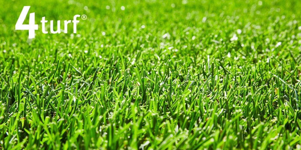 DLF_France's tweet photo. André Maurois disait "Le secret d'un gazon anglais : vous semez et vous laissez pleuvoir durant 7 siècles"
Pour nous "Le secret d'un gazon français : vous semez du 4turf® et vous lui laissez 7 jours pour germer" 🌱
#seedsandscience #4turf #gazon https://t.co/FyxIoc0hC7