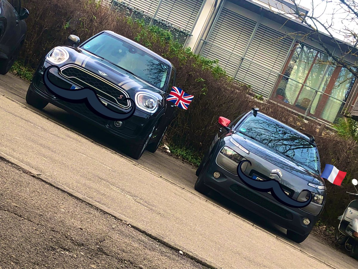 FrauPerla's tweet image. #HelloMINI #ByeByeCactus 
\o/