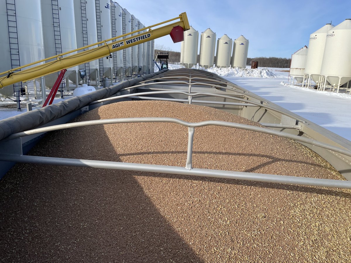 This load of wheat will make ~72,720 1lb loaves of bread. I get~.19/lb. It’s shipped, cleaned, ground into flour, shipped to bakers, shipped from bakers to wholesalers and retailers with carbon tax applied at every stage of the process. Ends up being 2.75/lb. Value added right?