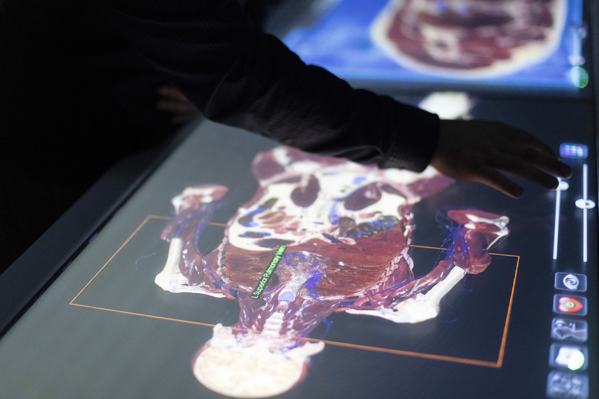 HealthSciUni's tweet photo. 4/4: "The #AnatomageTable is relevant to students studying across our #HealthSciences courses, as well as #Chiropractic.β
π To read the full news article & to find out more about our courses at @AECCUniversityC, click here > https://t.co/Crv8yGJzah
#LearningFacilities https://t.co/iC8JiuCvQK