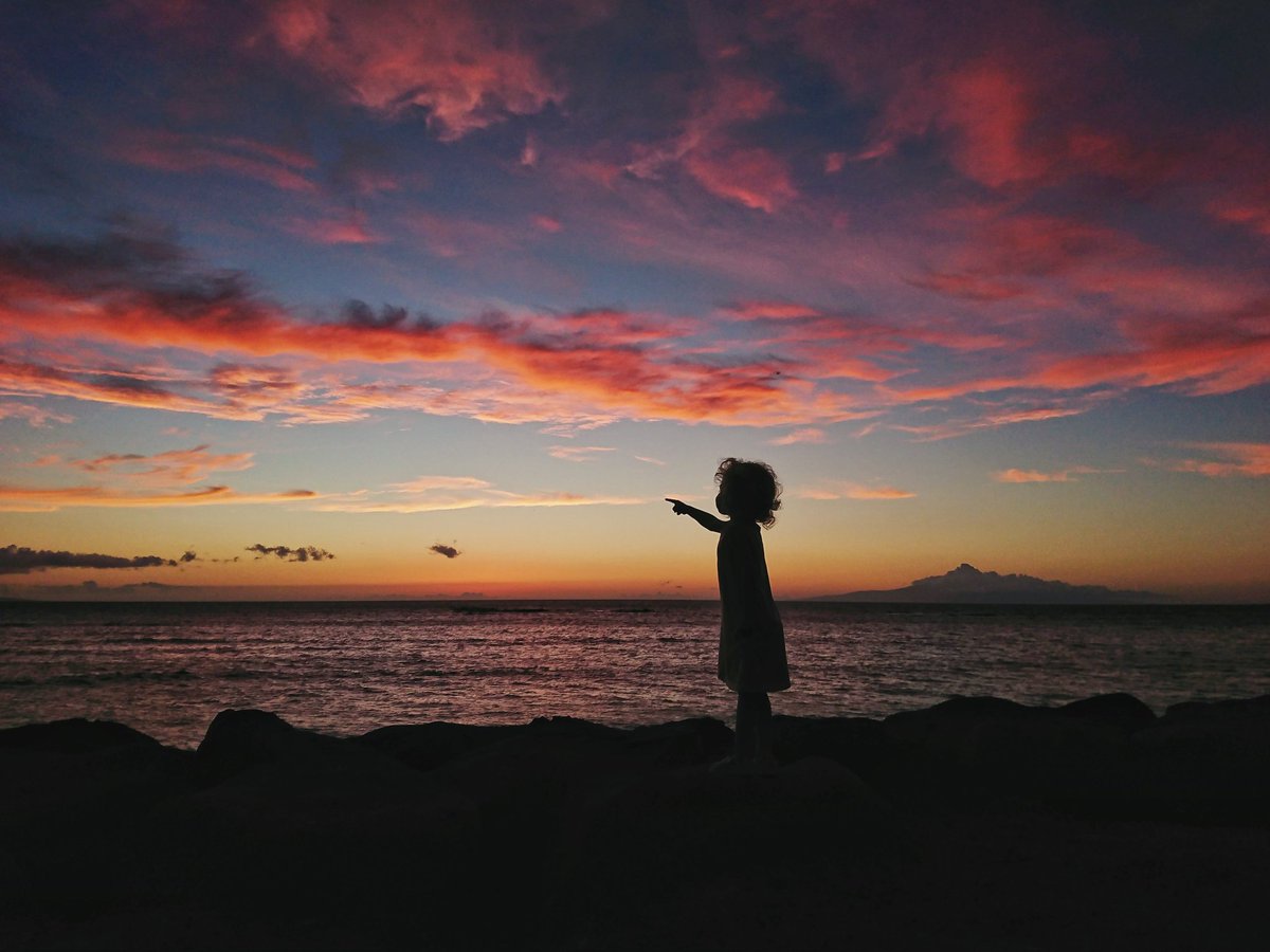 Jer 🇨🇦 tweet media