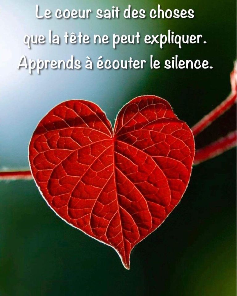 #citations #citation #citationdujour #citationamour #amour #love #citationdusoir #proverbe #citationtriste #texte #penseedujour #quotes #penseepositive #ecriture #couple #instacitation #citationinspirante