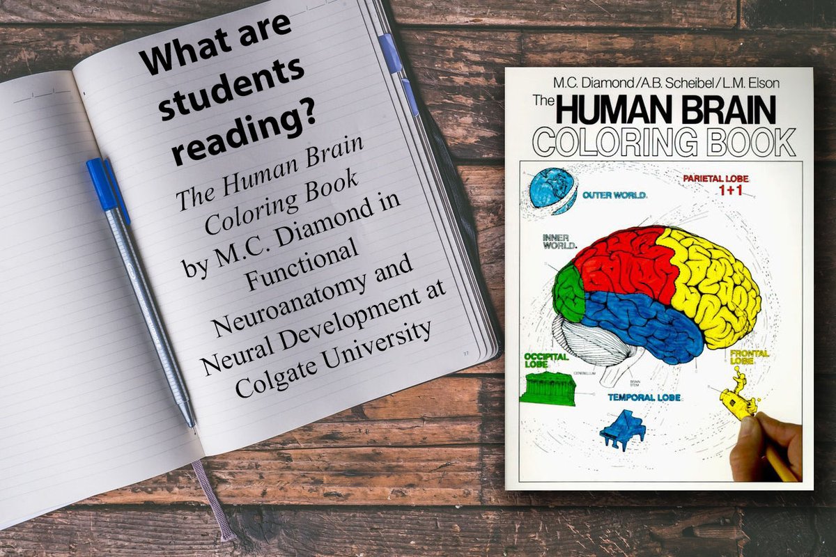 HarperAcademic's tweet image. One of our most popular backlist titles, THE HUMAN BRAIN COLORING BOOK was recently adopted at Colgate University. Learn more about this title at our book page: fal.cn/3w3J5 #courseadoption