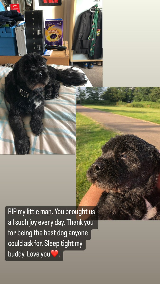 Cam🏆. tweet media