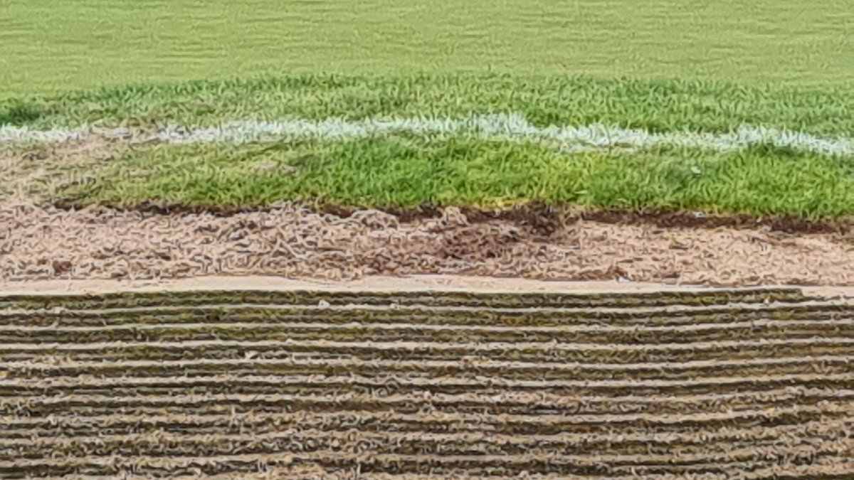 Dave Allen tweet media