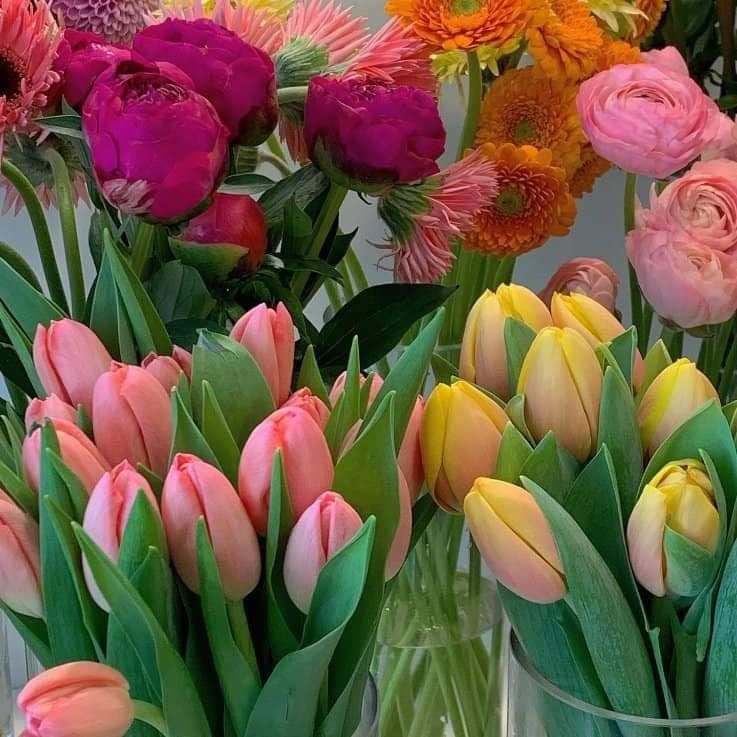 prettiestavenue's tweet photo. pretty flowers https://t.co/MnHrjzjrvs