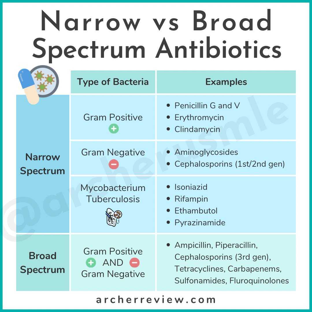 Archer USMLE Review tweet media