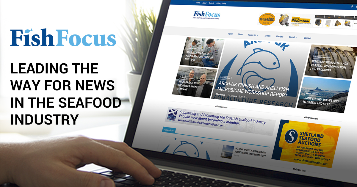 Fish Focus is the news site that brings you information in relation to #aquaculture #commercialfishing #seafood #seafoodprocessing #marinescience

Visit fishfocus.co.uk for all the latest news!

#seafoodnews #news #latestnews #seafoodindustry  #seatoplate #fishfocus