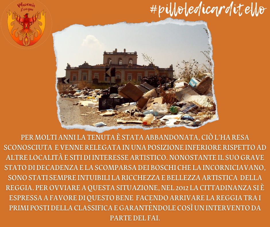 Phoenix_league_'s tweet photo. Buon pomeriggio a tutti, siamo ritornati con le nostre pillole.💊🗓
Restate attivi per nuove curiosità #ASOC2223  #asoc #Campania #PhoenixLeagueTeam #pilloledicarditello https://t.co/JEFkK7U2Dm