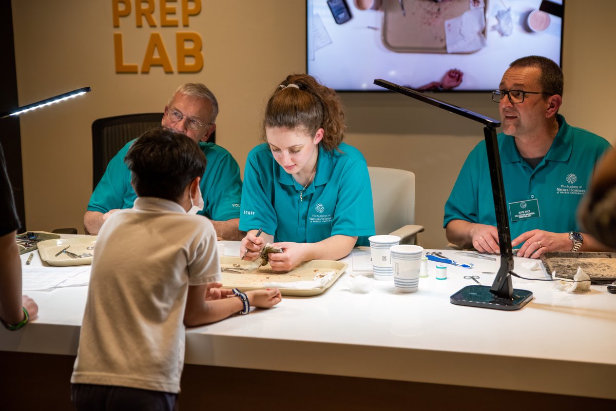 drexel_coas's tweet photo. Conversations With Birds opened last weekend at @AcadNatSci—just in time for spring migration season! On display through May, the new exhibition builds upon the success of last year’s #BlackBirdersWeek and celebrates the many ways that birds inspire us.  https://t.co/Z84ov4Kusl https://t.co/vuf0fjbFC3