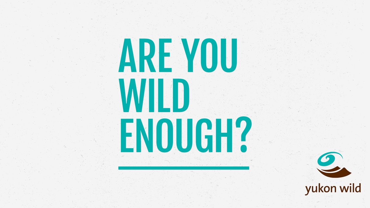Hello Wild Explorer! <a href="/yukon_wild/">Yukon Wild</a> will be at the Outdoor Adventure Show. Feb 24 – 26. 

Come meet the Yukon experts. Play the quiz, discover your wild type and get a chance to win $3000 towards a Yukon Wild adventure, including flights with <a href="/flyairnorth/">Air North</a>. Are you wild enough?