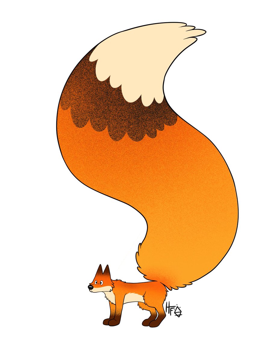 no humans white background fox animal focus simple background orange fur signature  illustration images