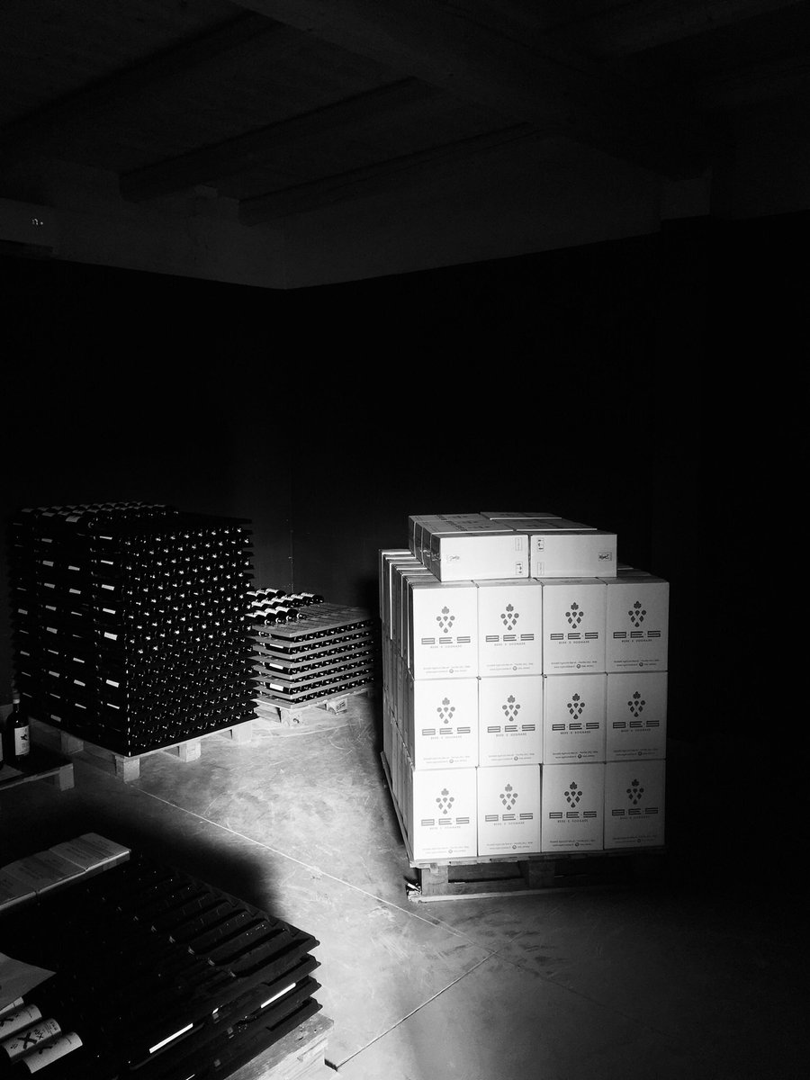BesWinery's tweet photo. Ready to go #bes #agricolabes #naturalmonferrato #grignolino #barbera #organic #bestiagrama #dedulà #redwine #winelovers #cellar https://t.co/v1uwstAekX
