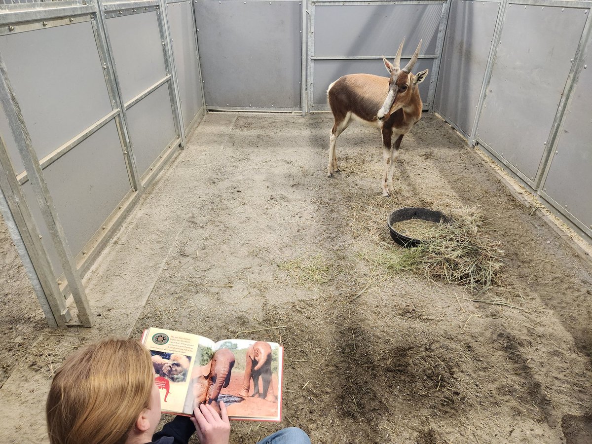 Bontebok? More like BonteBOOK! 😂

New species are here! One of the unique ways we are getting them acclimated to their new surroundings and keepers is through reading.  Check out these photos of Keeper Adrienne during storytime with Monty, the Bontebok.