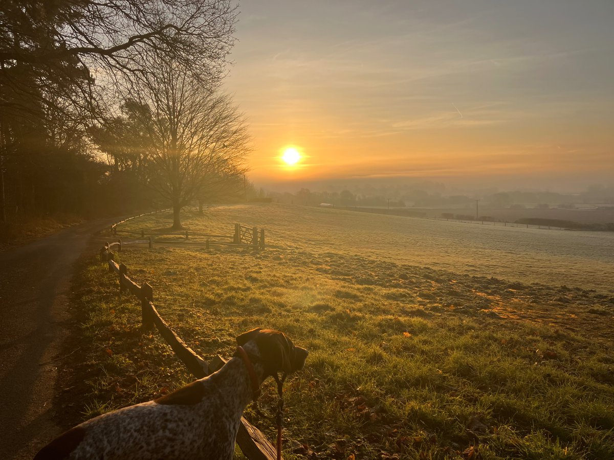 22 days into Feb &amp; @TechMarketView's  #FutureSteps challenge for @PrincesTrust &amp; I can confirm it's harder than you think to do 10k steps everyday when you have a desk-based role! The sunrise walks are a highlight though &amp; it's all for a great cause👉 bit.ly/3jGxNRV 🙏