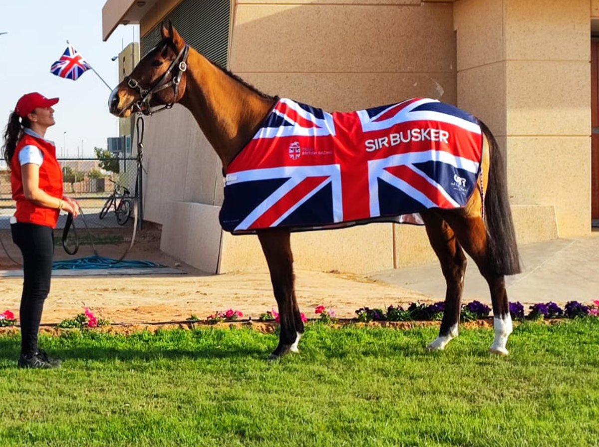 KennetValleySyn's tweet photo. …and in the blue corner, representing Great Britain, it’s #SIRBUSKER!!! @GBRI_UK @WKnightRacing https://t.co/OLHuen4JDk
