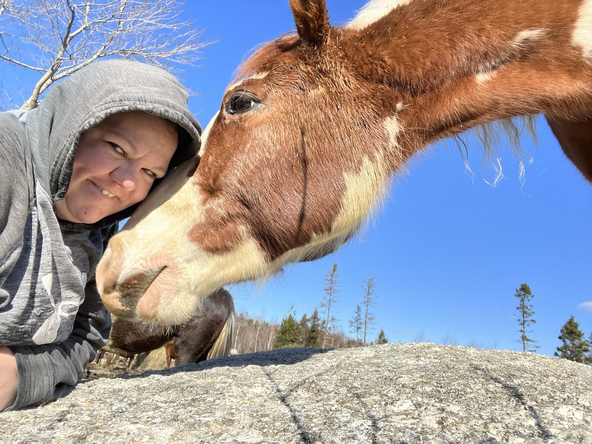 True genuine Partnership takes WORK 
At first we both were new at this him horse me human how was this going to WORK? 
Patience 
Perseverance
Present  
Celebrate the wins you are worth it and they feel it