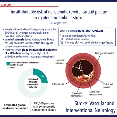 Excellent review of carotid non-stenotic plaques in <a href="/SVINJournal/">Stroke: Vascular and Interventional Neurology</a> by <a href="/JimSiegler/">Jim Siegler (@jimsieglermd.bsky.social now)</a>. These plaques could be linked with cryptogenic stroke. Proposed SYNCHRO study will evaluate imaging markers and outcomes at one year with intensive medical therapy <a href="/SavastanoLuisMD/">Luis Savastano M.D. Ph.D.</a> @WBrinjikji