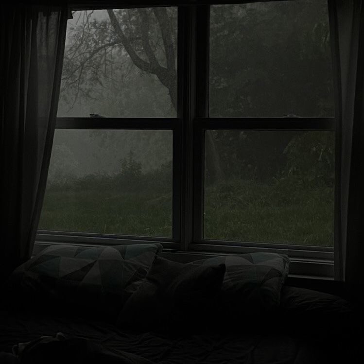 gIoomyweather's tweet image. cuddle weather.