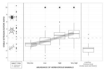 GSouchay's tweet photo. New published paper  by Jules #Chiffard et al. #Grazing intensity drives a trophic shift in the diet of common alpine #birds @abesnardEPHE 
bravo Jules ! #ecology #entomo 
@OFBiodiversite @cefemontpellier
https://t.co/36vpdOVnUV https://t.co/4U2Ftz0N3T