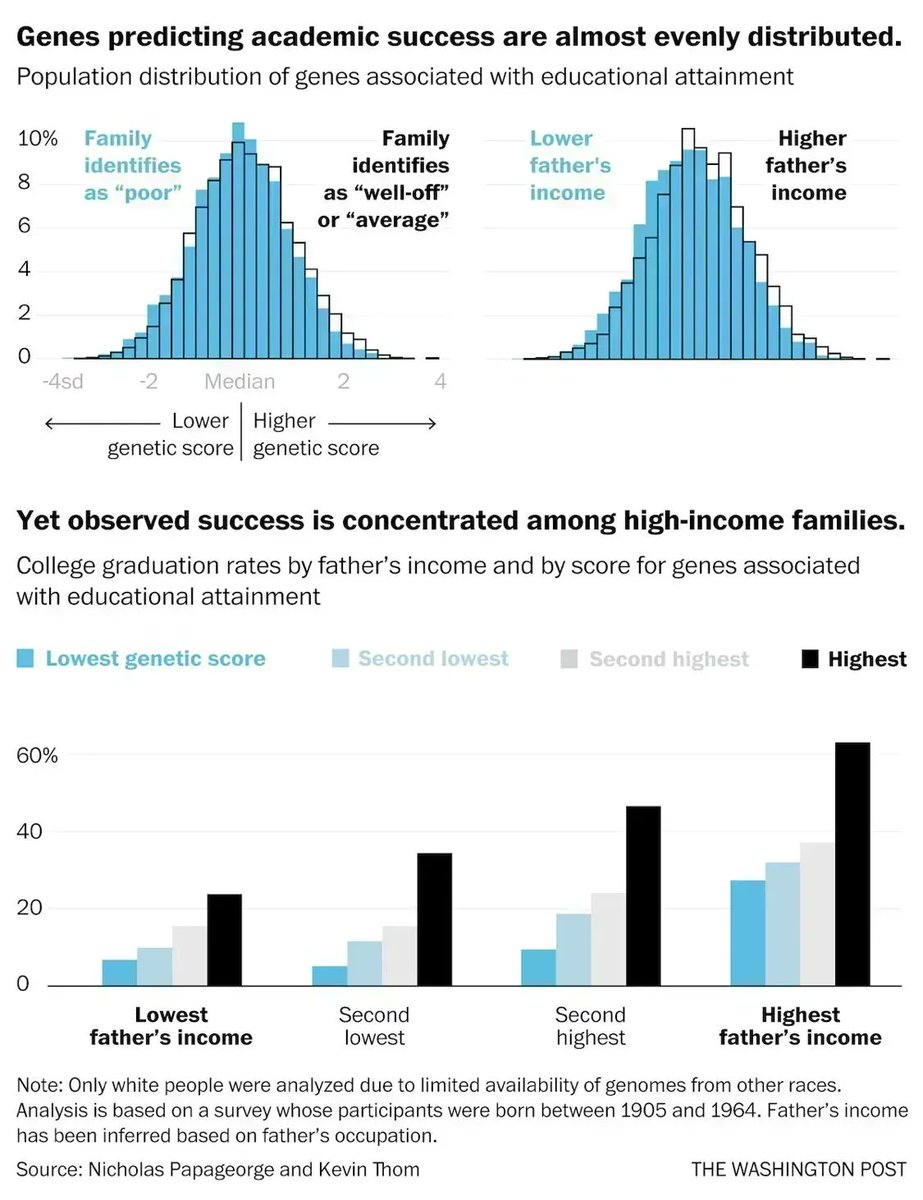 It’s better to be born rich than gifted!

Genes predicting academic success are almost evenly distributed... Yet, observed success is concentrated among high-income families.

What wasted potential!

Article: buff.ly/3Z5P6eb 

#mobility #education #intergenerational