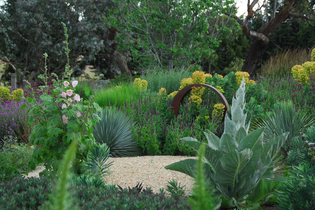 In the upcoming HPSO Winter Program, Michael shares more of his experiences in his Zoom program, "A Celebration of Stress: New Directions in Planting Design".