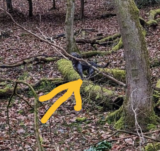 Mark Atzel tweet media