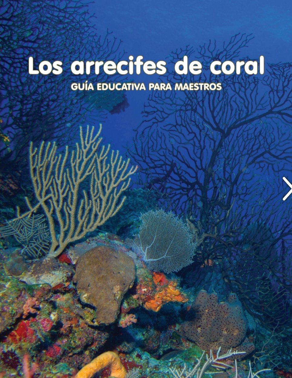 Fértil cocaína molestarse Corales del Este Puerto Rico 🇵🇷 on Twitter: "Guía educativa de  @SeaGrantPR para maestros sobre arrecifes de coral👇🏽  https://t.co/7qs6jv9a8k https://t.co/Q85otdDGqg" / Twitter