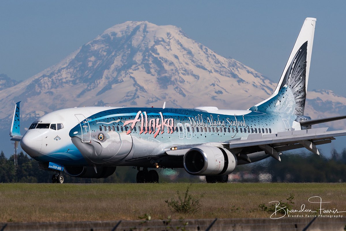 BDFphotography's tweet photo. #BREAKING: just getting word that the @AlaskaAir has internally announced on an employee site that the “Salmon-Thirty-Salmon II” will be making its final flight in that livery on April 17 when it operates AS65 and it will not be replaced with another Salmon paint but instead a scheme that honors the culture and history of our namesake state.