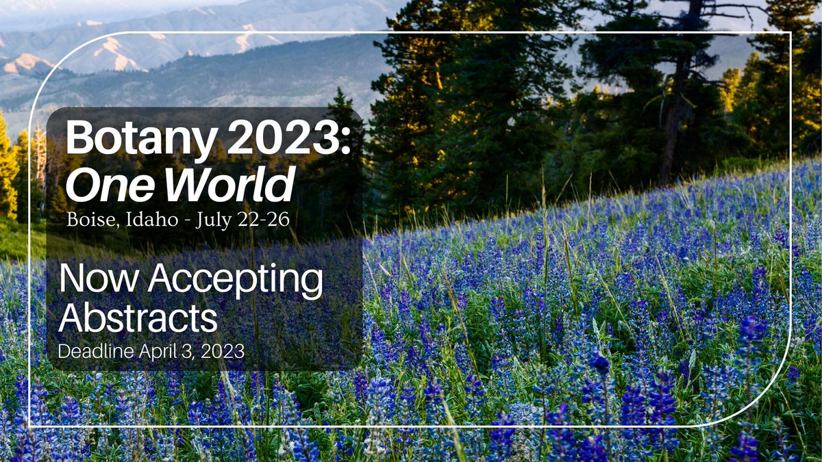 Botanical_'s tweet photo. #Botany2023 Abstract Submission is Now Open!
Submission deadline is April 3, 2023.

Visit https://t.co/5YVXOyciRA for more information or to see a list of topics for abstracts. 

To submit your abstract visit: https://t.co/OWA51nlNW3 https://t.co/gkgIonFpUG