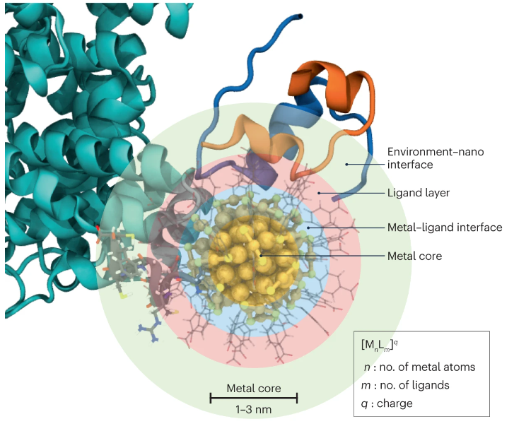 NatRevMaterials (@natrevmater) on Twitter photo Unlike typical nanoparticles, atom-precise metal nanoclusters can be improved via a computation-experiment feedback loop. This Review by Häkkinen & team <a href="/uniofjyvaskyla/">University of Jyväskylä</a> reveals how this loop makes better clusters for catalysis and bio: go.nature.com/3IkaENn
<a href="/jyunsc/">jyunsc</a> <a href="/jyuscience/">Faculty of Mathematics and Science</a> Unlike typical nanoparticles, atom-precise metal nanoclusters can be improved via a computation-experiment feedback loop. This Review by Häkkinen & team <a href="/uniofjyvaskyla/">University of Jyväskylä</a> reveals how this loop makes better clusters for catalysis and bio: go.nature.com/3IkaENn
<a href="/jyunsc/">jyunsc</a> <a href="/jyuscience/">Faculty of Mathematics and Science</a>