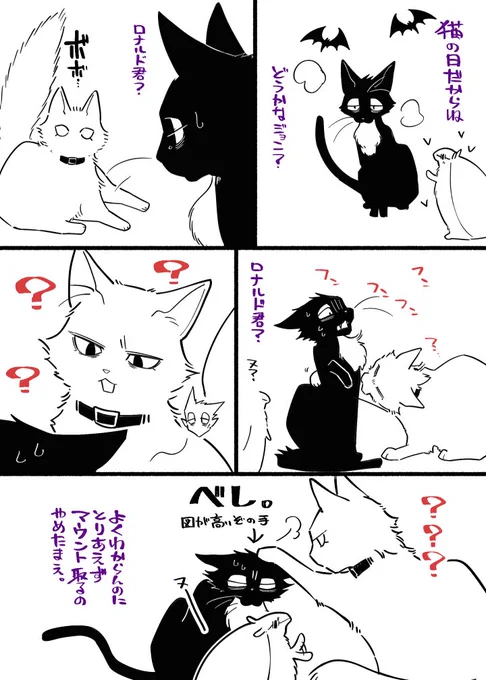 読しぬやつダブル猫=^・ω・^=何だこの猫と思ってる 