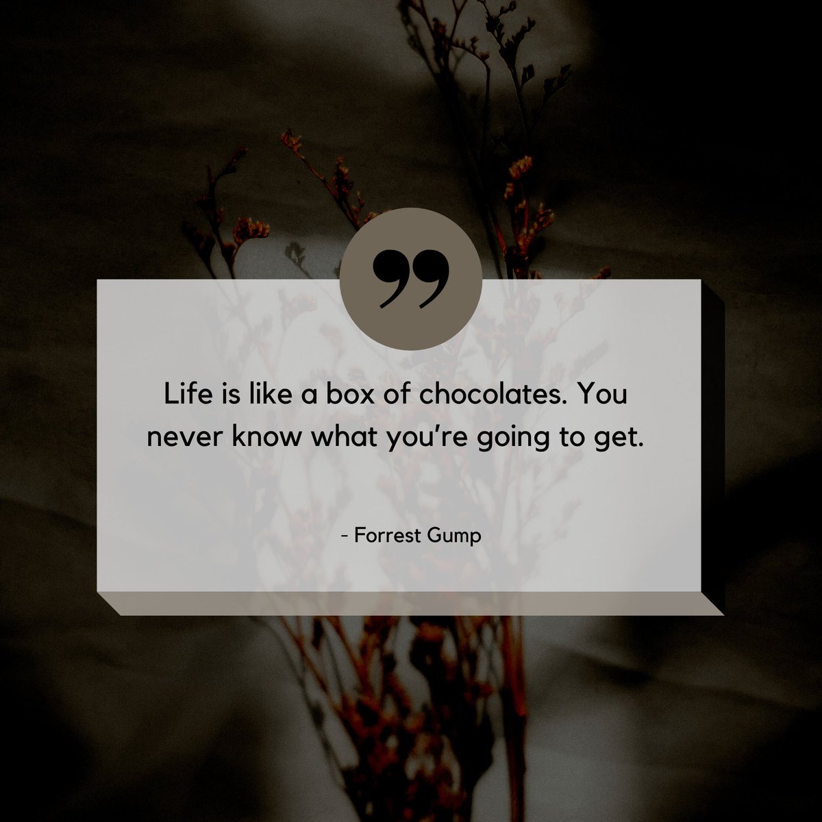 WisdomofWords3's tweet photo. (Quotes ON Life)
Watch Now
https://t.co/wxutrL2TJI
#motivationquotes
#simpleshorts
#pushyourself
#motivationalquotes
#motivational
#inspirationalquotes
#quotes
#Motivational
#Inspirational
#LifeQuotes
#lifequot https://t.co/gxilZqFUw4