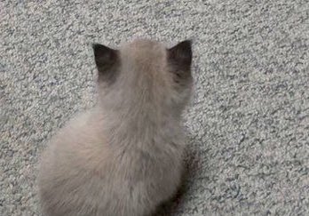 내가 제일 사랑하눈 동그라미♡ 
많은 사랑으로 다듬어진 모서리 없는 동그라미♡♡